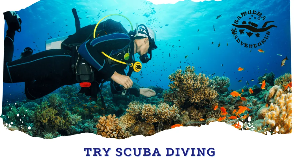 scuba diving for beginners