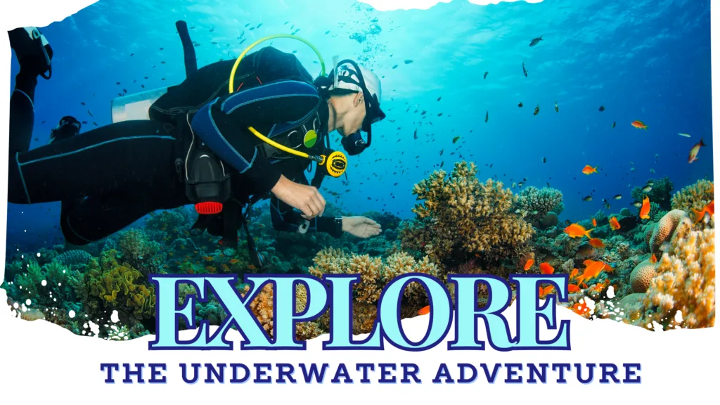 scuba diving price in pondicherry.