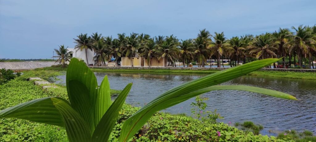 scuba diving in pondicherry
