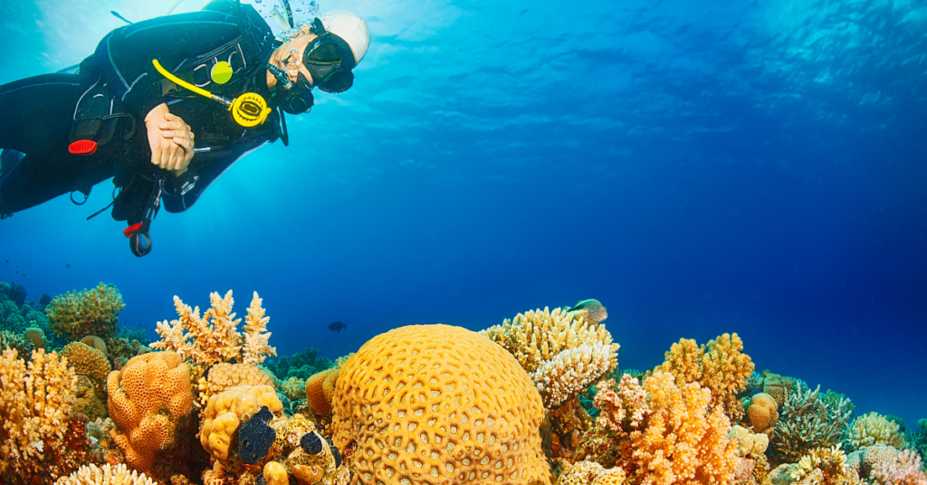 Scuba Diving Guide In Pondicherry