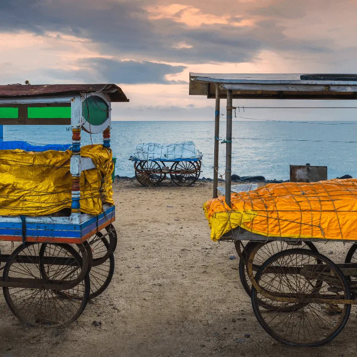 eden beach pondicherry