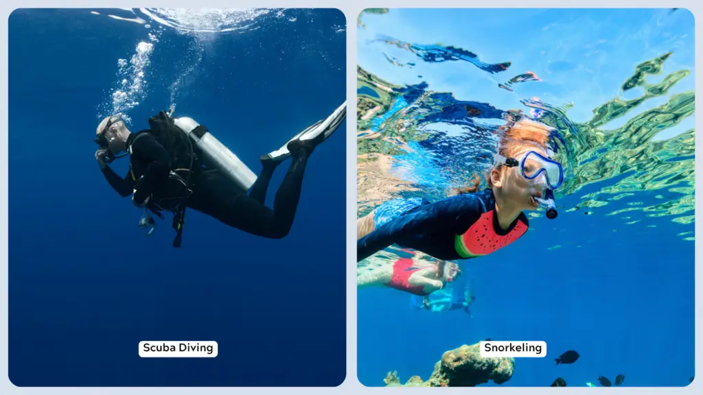 scuba diving vs snorkeling